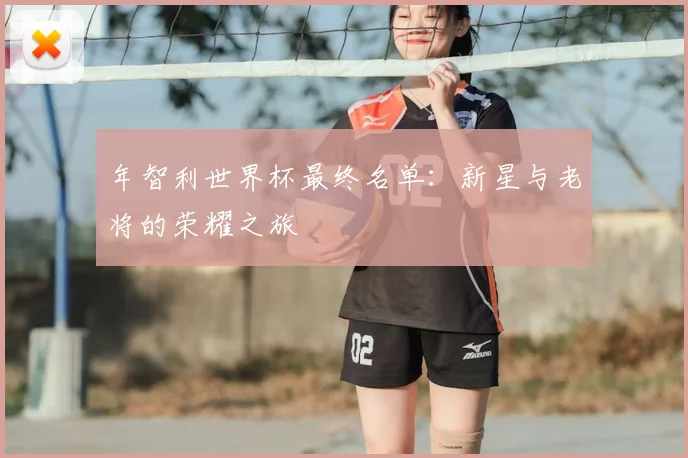年智利世界杯最终名单：新星与老将的荣耀之旅