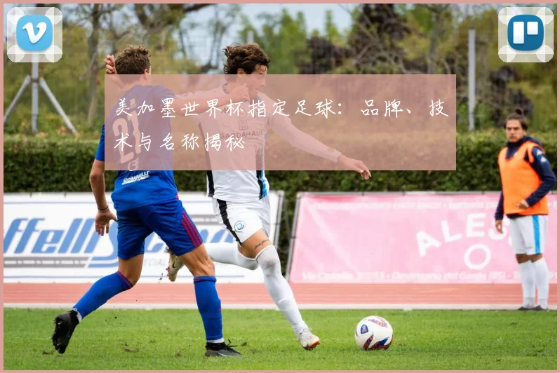 美加墨世界杯指定足球:品牌、技术与名称揭秘