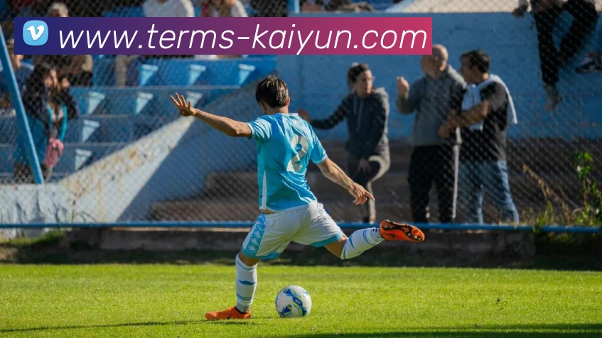 kaiyun平台生态图